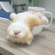 快播app