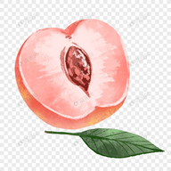 9.1免费APP应用